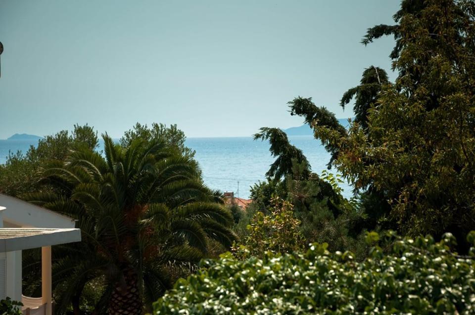 Villa Calypso Palaiontsiflikion Bagian luar foto